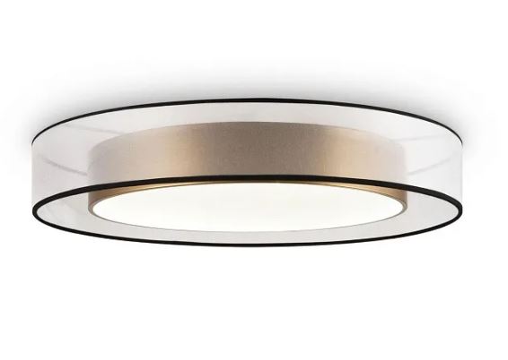 Потолочный светильник FR6005CL-L48G